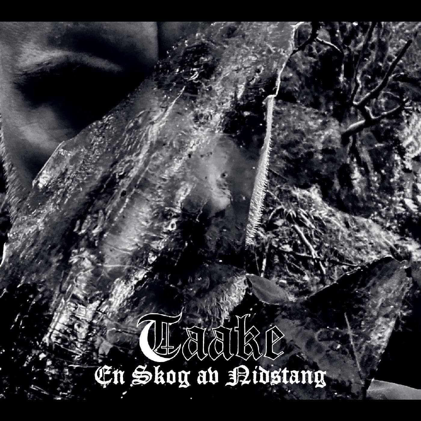 Taake - En Skog Av Nidstang [Vinyl] Vinyl Record