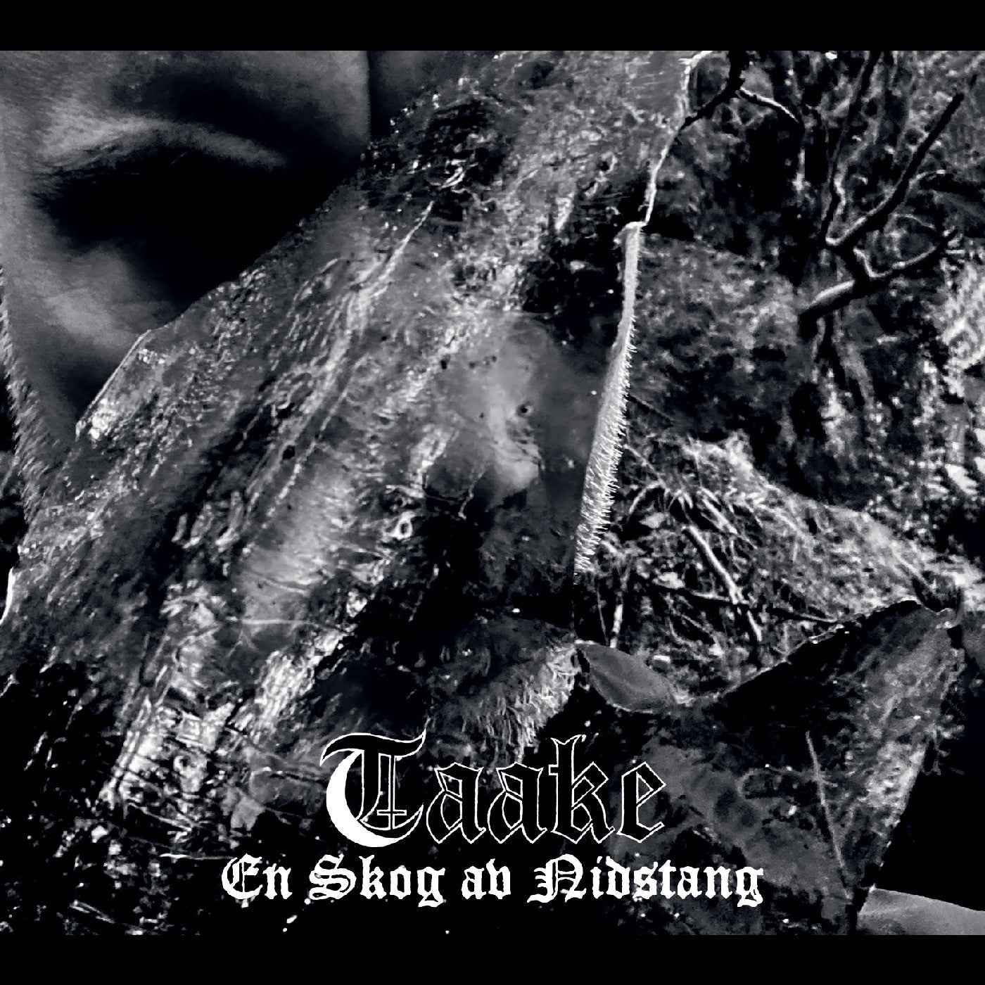 Taake - En Skog Av Nidstang Vinyl Record
