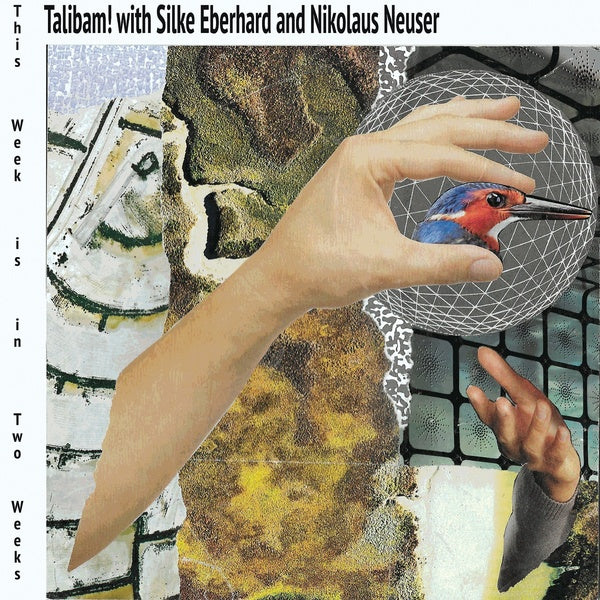 This Week Is In Two Weeks Vinyl Record