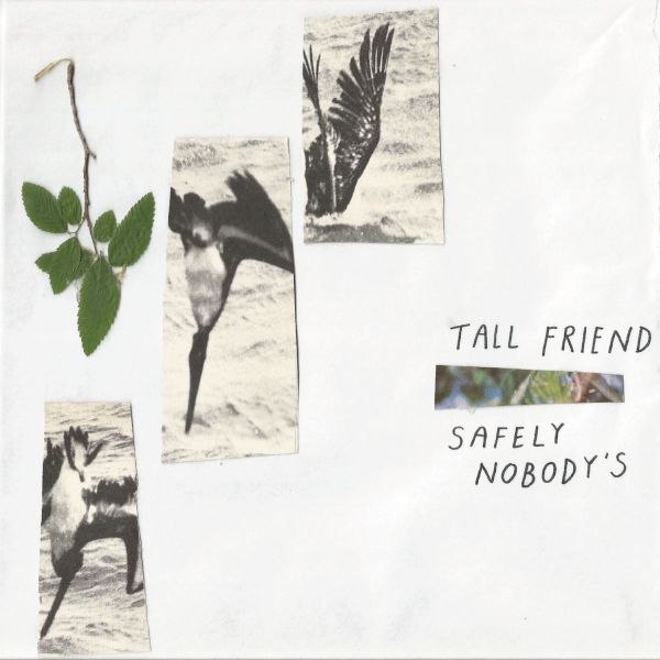 Safely Nobody's Vinyl Record