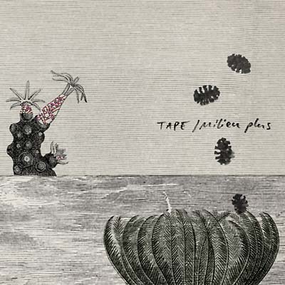 Milieu Plus Music CD