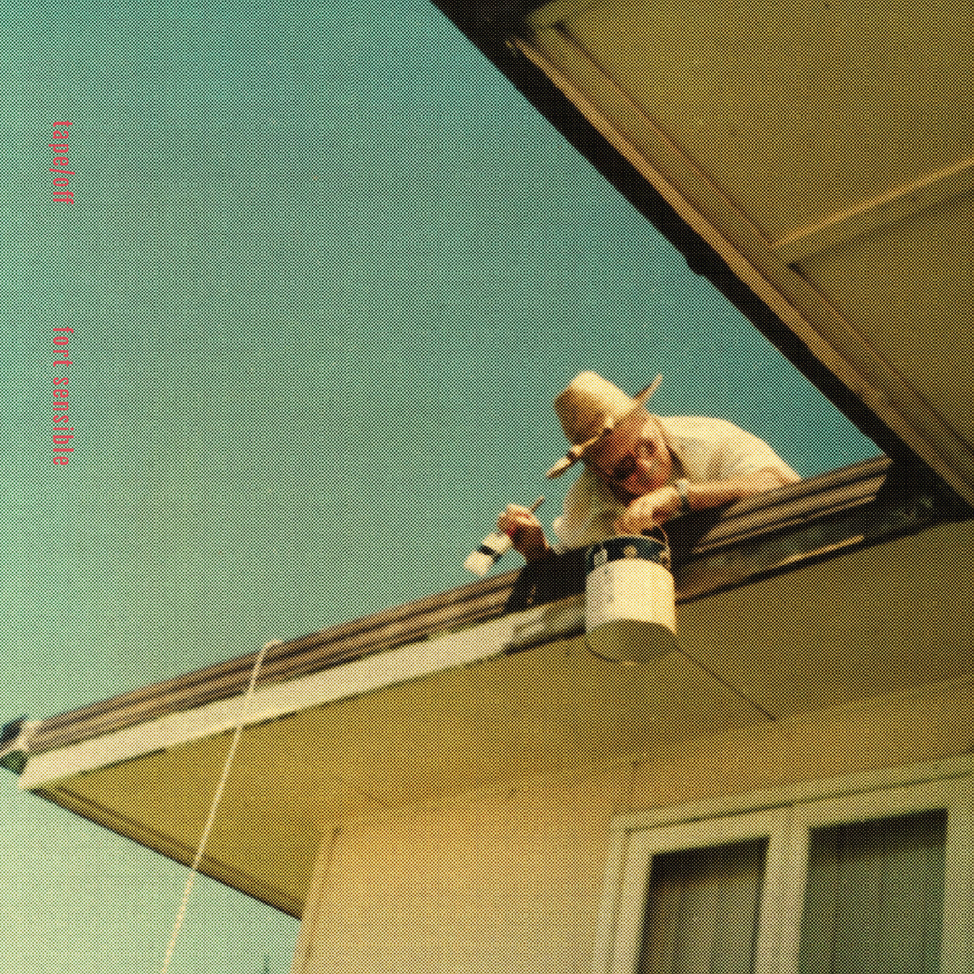 Fort Sensible Music CD