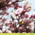 In Spring Vinyl Record