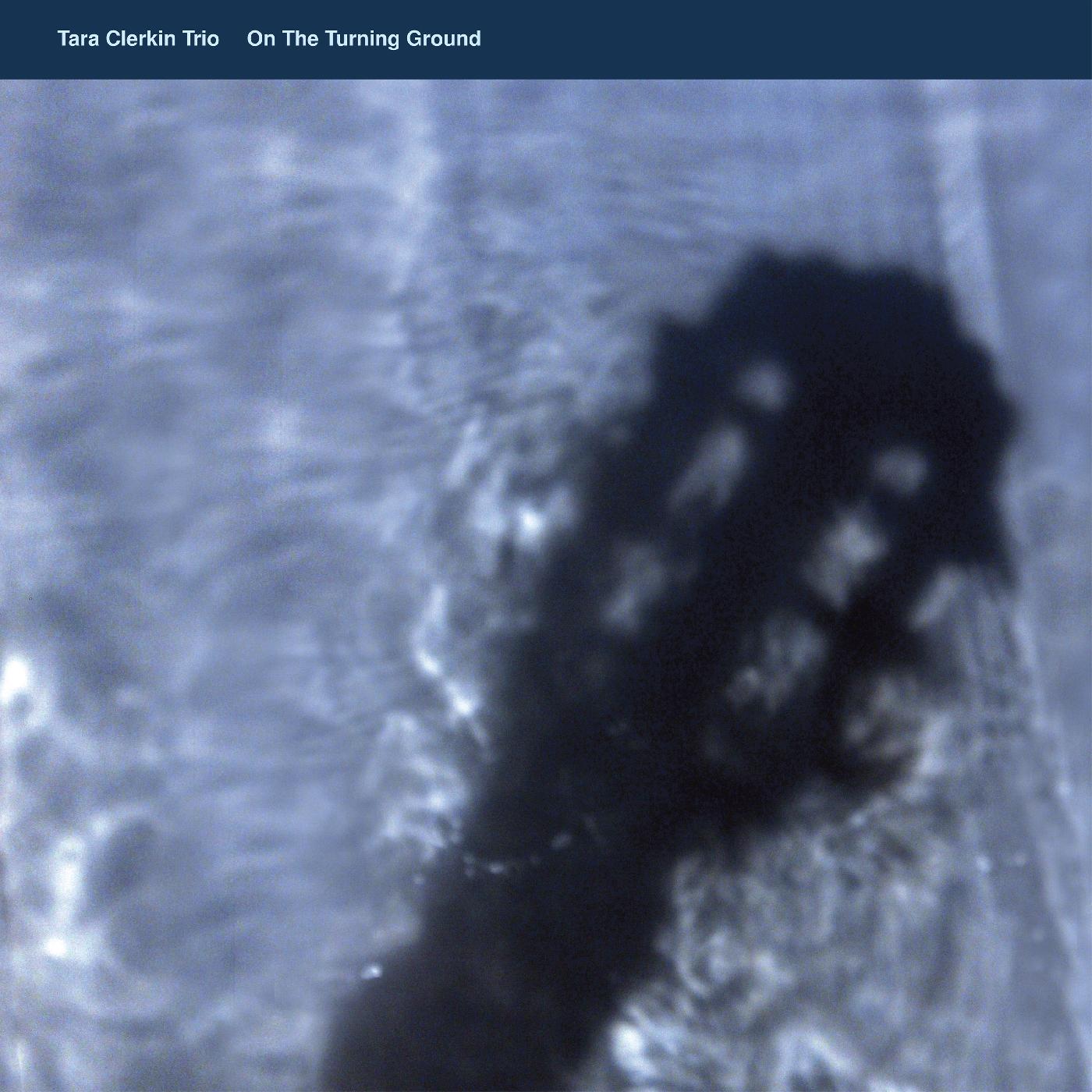 On The Turning Ground Vinyl Record