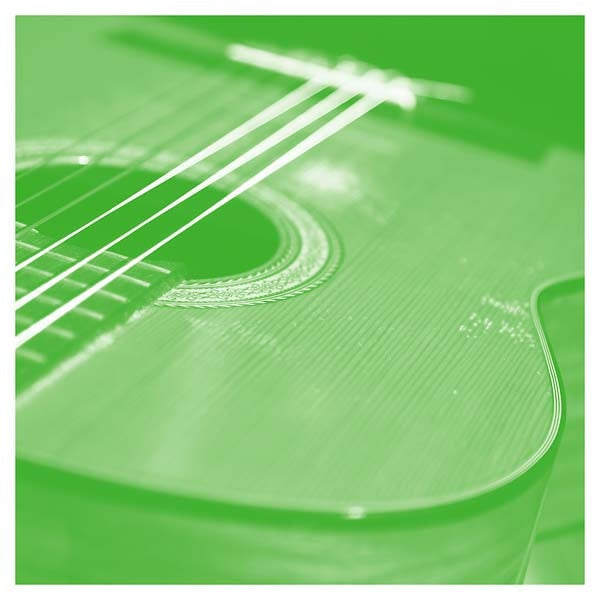 Solo Acoustic Volume Thirteen Vinyl Record