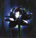 Crystalised (VINYL) | Mint (M) Mint (M)