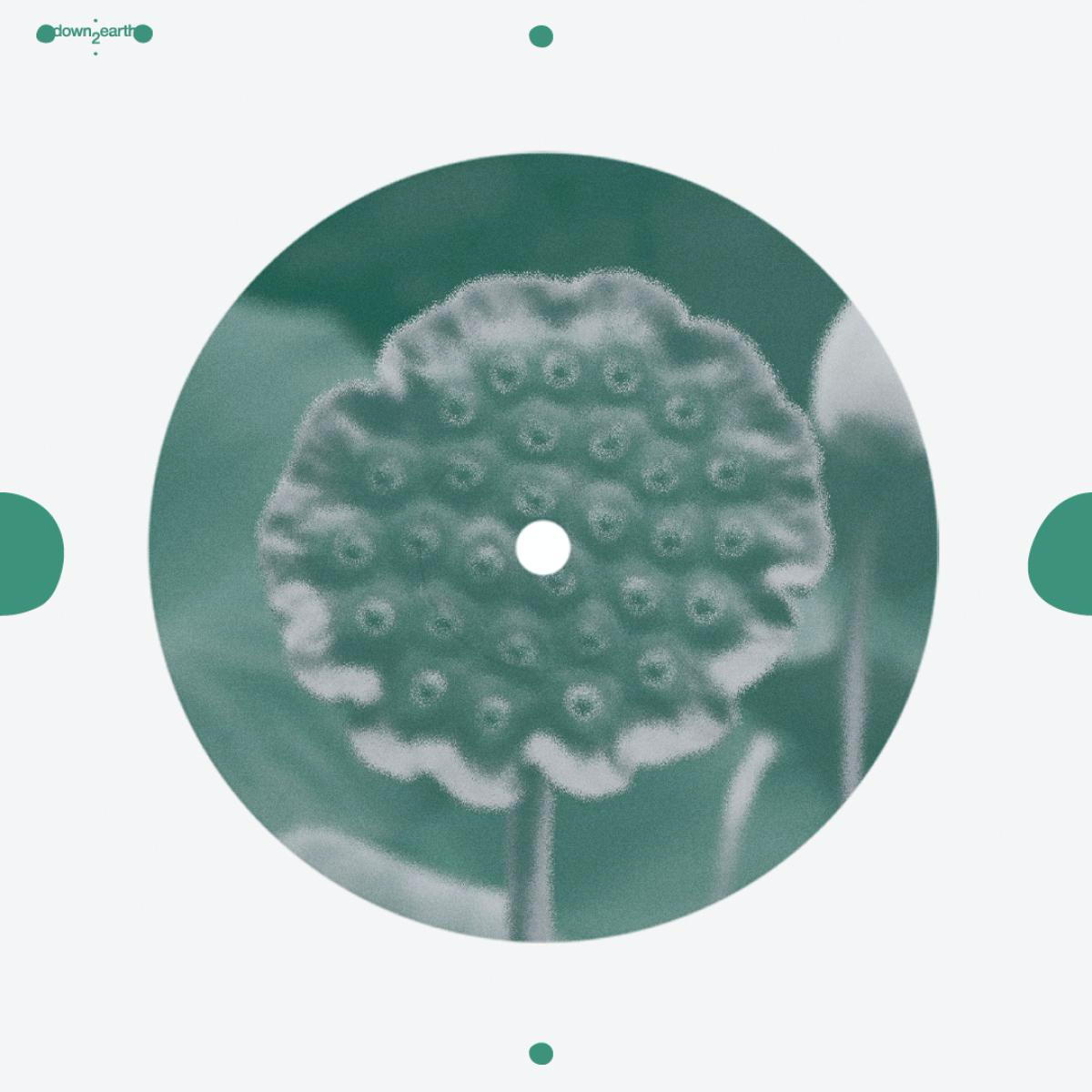 Matthias - (PRESALE 5/29/26) beat of blades (VINYL) | Mint (M) Mint (M)