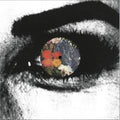 Wanting You (VINYL 12") | Mint (M) Mint (M)