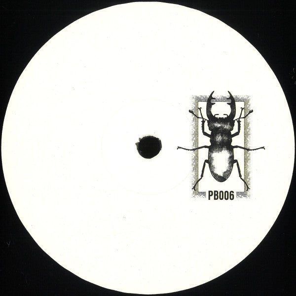 Pb #06 (VINYL) |