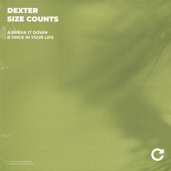 Size Counts (VINYL) | Mint (M) Mint (M)