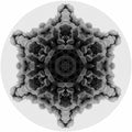 Moi (10) 12 12" Mint (M) Generic