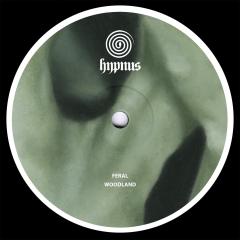 Woodland (VINYL 12") | Mint (M) Mint (M)