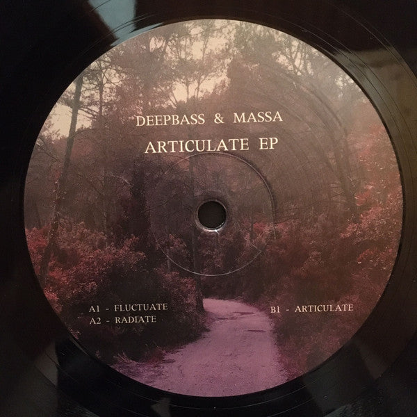 Articulate EP (VINYL) | Mint (M) Generic