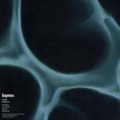 Radiolaria (VINYL 12") | Mint (M) Mint (M)