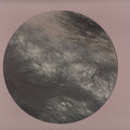 Flesh Of The Gods Remixes (VINYL) |