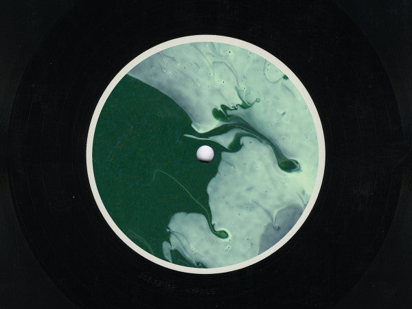 Sentient (VINYL 12") | Mint (M) Mint (M)