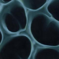 Radiolaria (VINYL 12") | Mint (M) Mint (M)