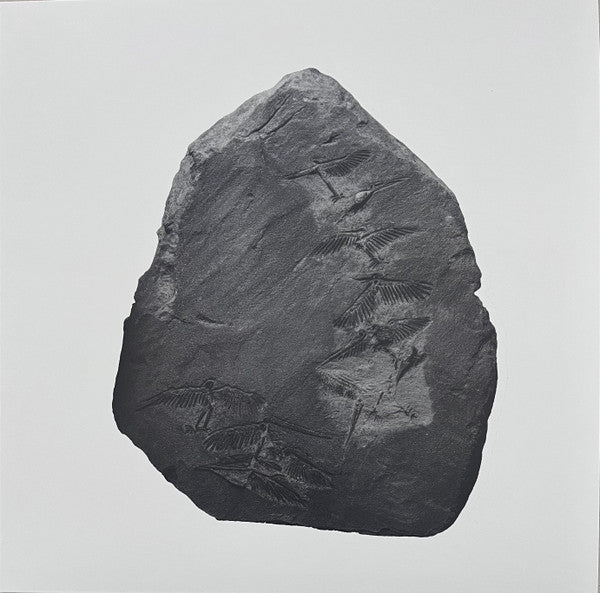 Ignez - Remixes (RED VINYL) |