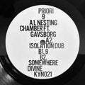 Priori - 9 (VINYL 12") | Mint (M) Mint (M)