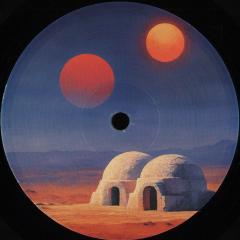 Transient States. Feedback (VINYL 12") | Mint (M) Mint (M)