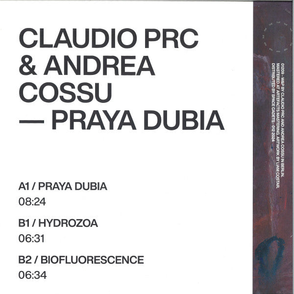 Praya Dubia (VINYL) | Mint (M) Mint (M)