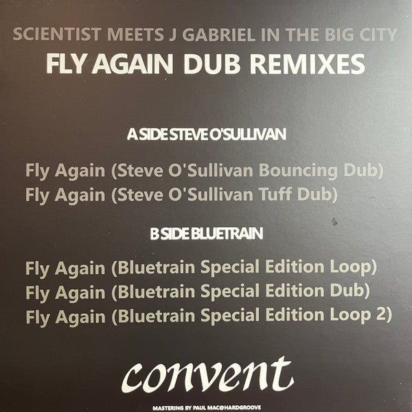 Fly Again Dub Remixes (VINYL) | Mint (M) Mint (M)