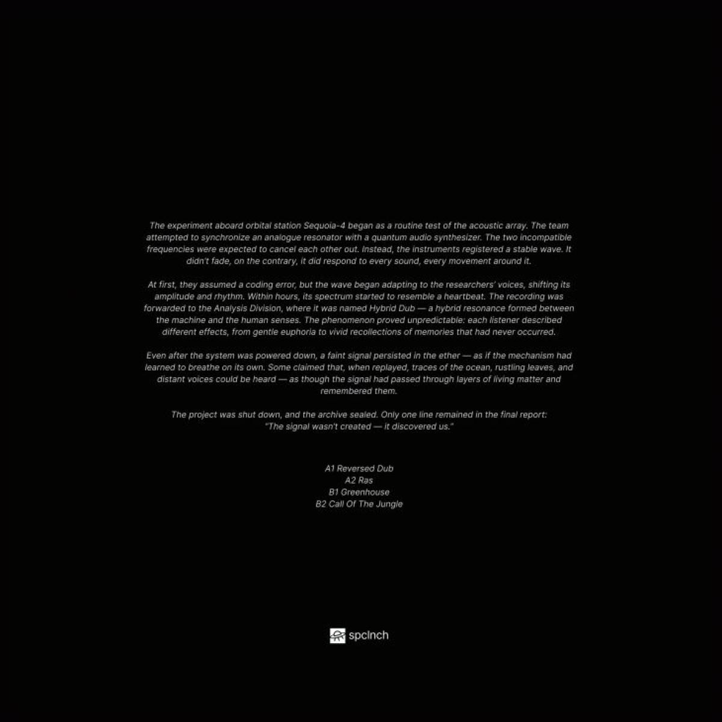 R.Hz - Hybrid Dub (WHITE VINYL) | Mint (M) Mint (M)