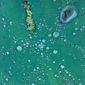 (PRE-ORDER 12/19/2025) Dust 1 (10" VINYL) |