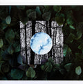 Gradual Blending (CLEAR VINYL) | Mint (M) Mint (M)