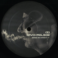 David Moleon - (PRESALE) Bones And Smoke (2xYELLOW VINYL) | Mint (M) Mint (M)