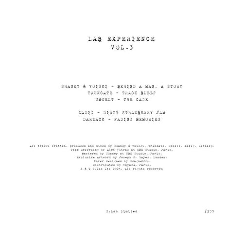 (PRE-ORDER TBA) Lab Experience Vol. 3 (SWIRL VINYL 12") | Mint (M) Mint (M)