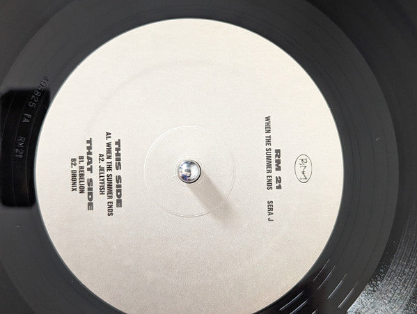 When The Summer Ends (VINYL) | Mint (M) Mint (M)