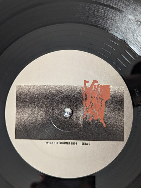 When The Summer Ends (VINYL) | Mint (M) Mint (M)