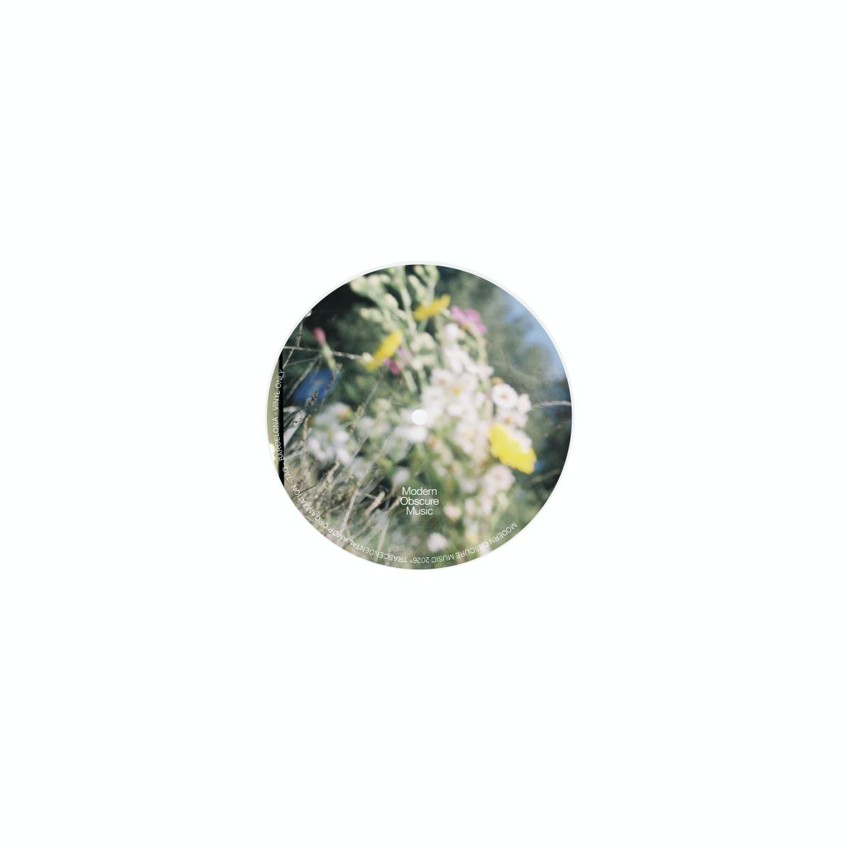 Transcendental Amor Organization - (PRESALE) TAO (VINYL) | Mint (M) Mint (M)