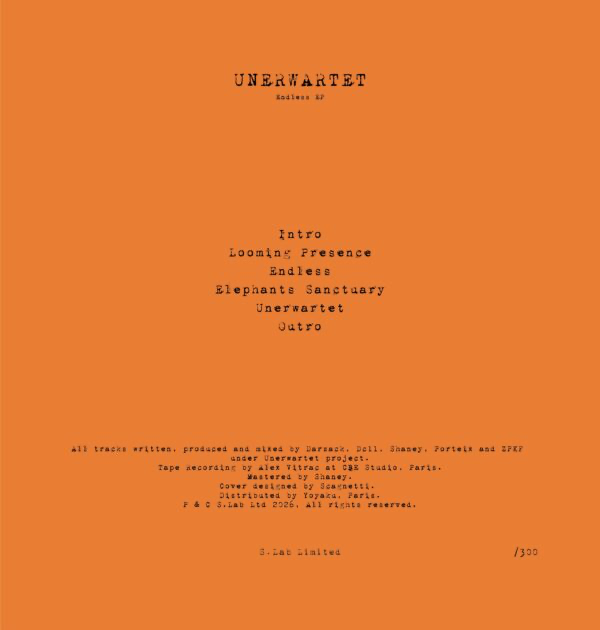 Unerwartet - Endless EP (VINYL) | Mint (M) Mint (M)
