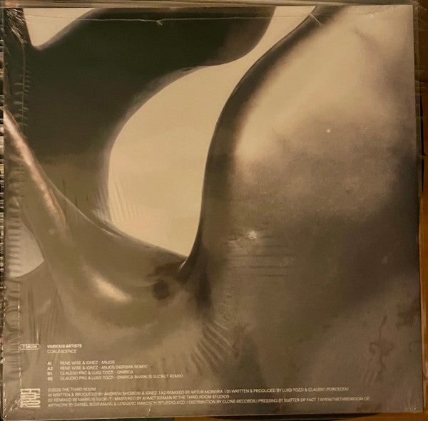 Various - Coalescence (VINYL 12") |