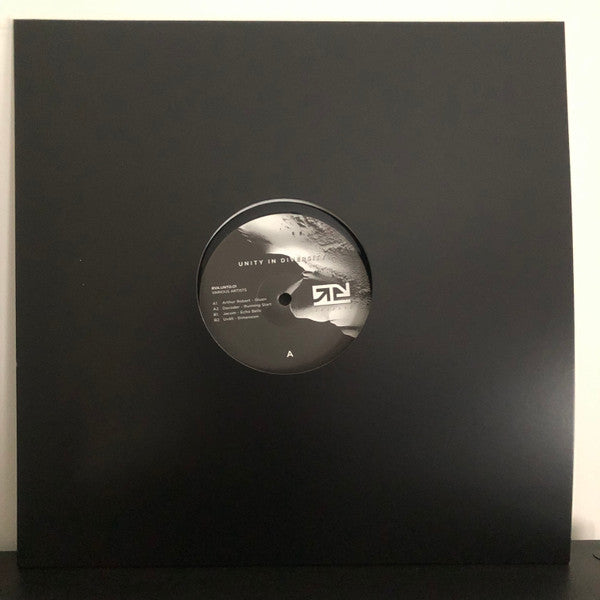 Unity In Diversity 01 (VINYL) |