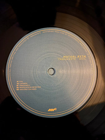 Evil (VINYL) | Mint (M) Mint (M)
