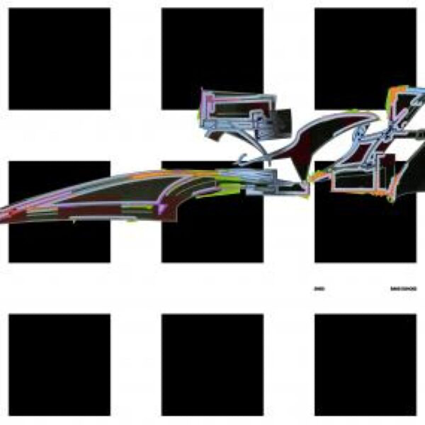 Shed - (PRESALE 6/1/26) RAVE ECHOES LP (2xVINYL) | Mint (M) Mint (M)