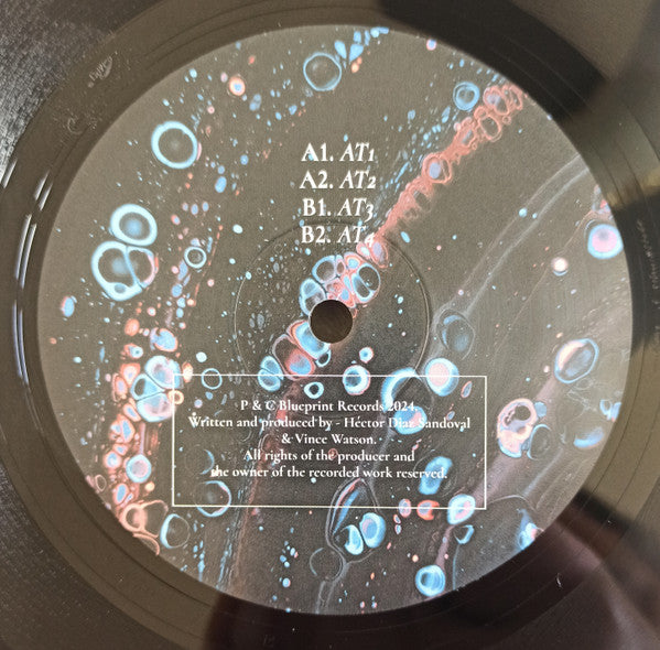 Distant Landscapes EP (VINYL) | Mint (M) Mint (M)