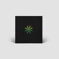 Scheermann - Viciosa (VINYL 12") | Mint (M) Mint (M)