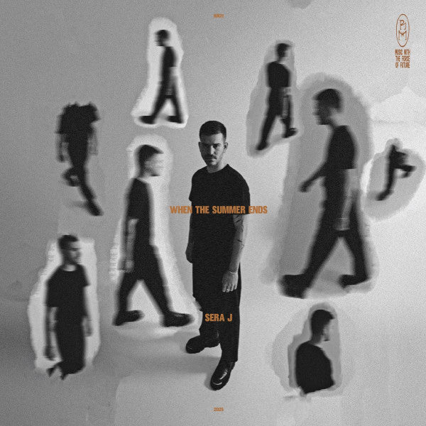 When The Summer Ends (VINYL) | Mint (M) Mint (M)