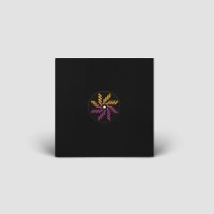 Glaskin - Inertia of Motion (VINYL 12") | Mint (M) Mint (M)