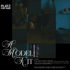 A Model Kit (VINYL 12") | Mint (M) Mint (M)