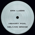 Erik Luebs - Reversing Time (VINYL) | Mint (M) Mint (M)