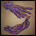 The Way and Color Music CD