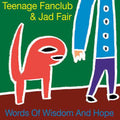 Teenage Fanclub - Words Of Wisdom And Hope (RSD 4.18.26) Vinyl Record