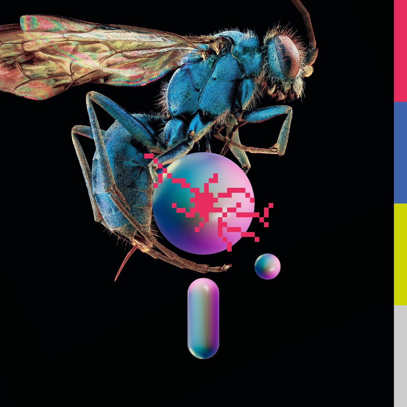 Hive Music CD