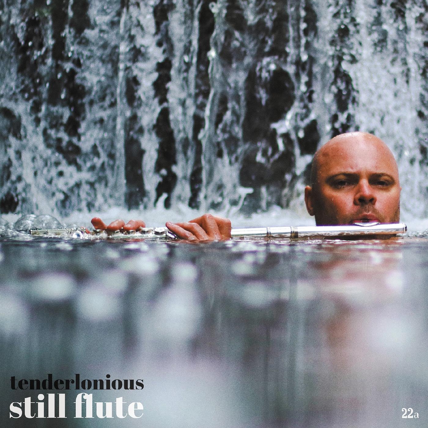 Still Flute Music CD