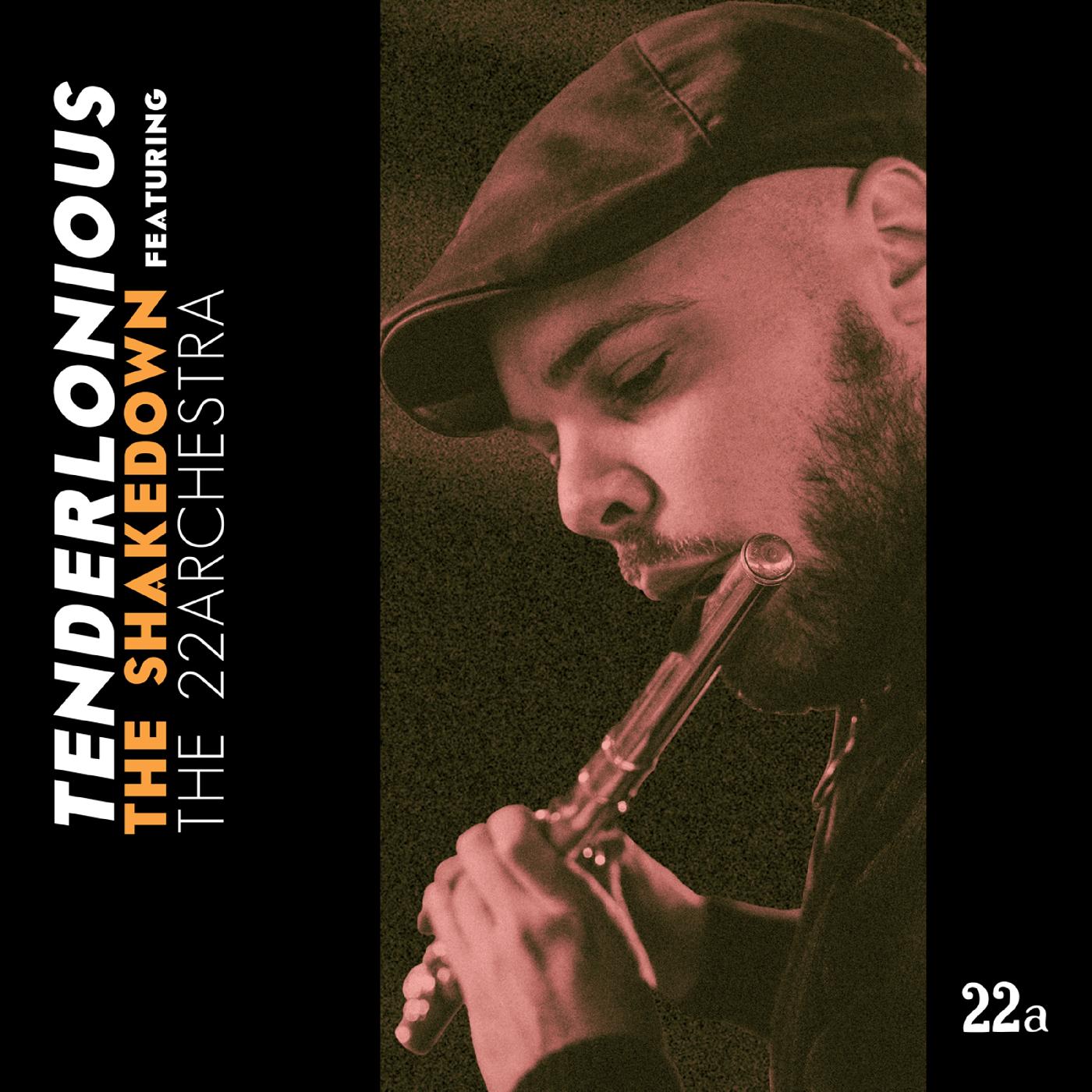 The Shakedown Feat. The 22Archestra Music CD